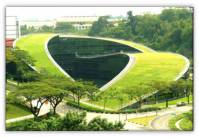 معماری ارگانیک بررسی مدرسه هنر سنگاپور